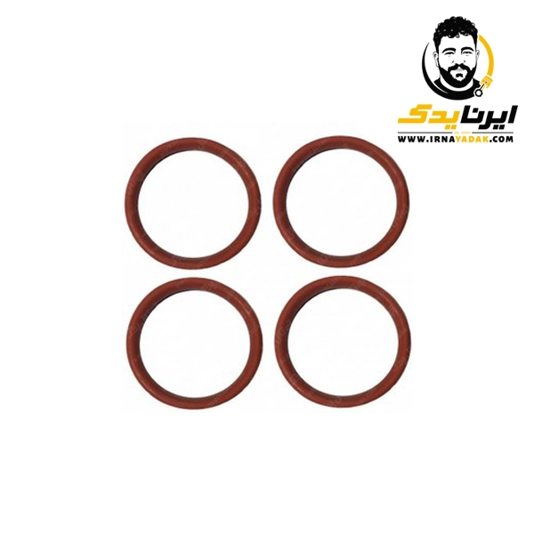 اورینگ منیفولد 206 تیپ 2 الما